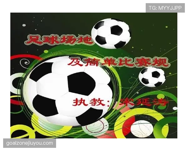 足球场尺寸规则详解及其对比赛裁判判罚的影响